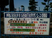 Photo1_Tobainuma