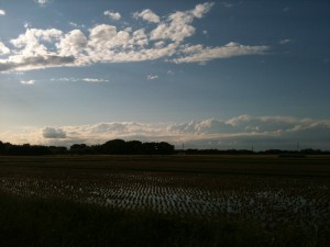 荒川河川敷にて、秋の雲