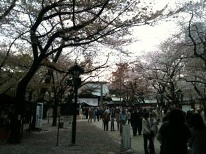 靖国神社 2013-04-01 016