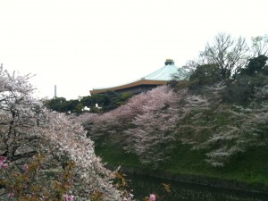 昭和館より武道館を望む 2013-04-01 107