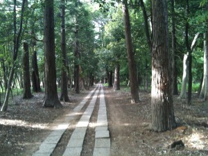 神明神社の参道。拝殿から1/3位か