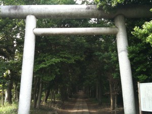 神明神社の参道入口の鳥居から中を望む。小さく女性の姿があるが、それでも道半ば。