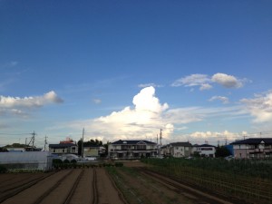 2013/9/3 16:22 栃木・茨城の方向の積乱雲