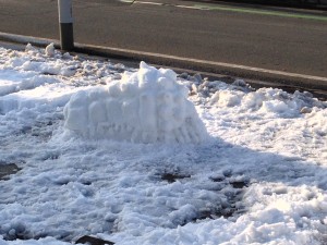 雪の王蟲