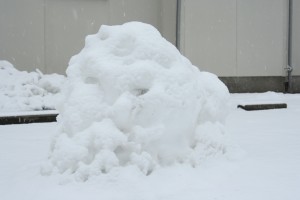 雪王蟲 その１ （降雪）