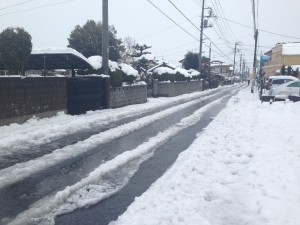 雪の積もった道