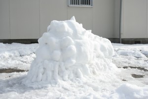 雪の王蟲（一日経過）