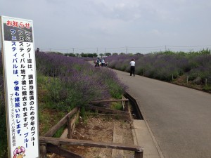 ラベンダー堤、終了の看板